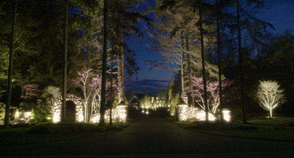 NightTide Lighting